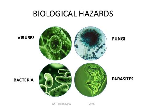 GRADE 9: Identifying and Evaluating Safety and Hazard in a Workplace