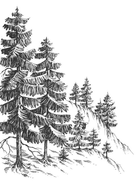 winter tree art for diy prints | Pine tree drawing, Forest sketch, Tree ...