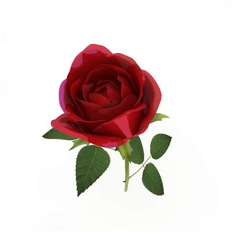 Rose 3D model