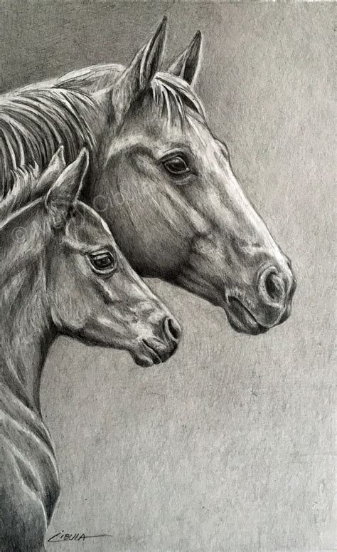 Equine Art. An original equine graphite pencil drawing of a