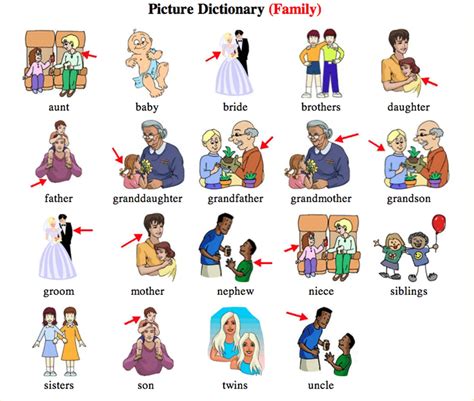 English Vocabulary: Members of the Family - ESLBUZZ