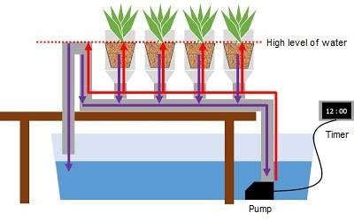 Ebb and flow hydroponics system | Download Scientific Diagram