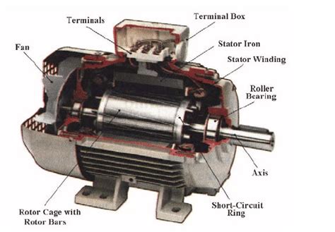 Induction motor cross section