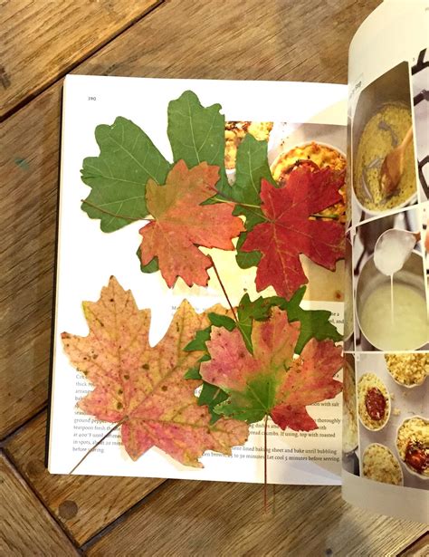 Sourdough Sunday: DIY: A Lovely Fall Leaf Garland