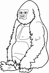 Cute Gorilla Coloring Pages  Home sketch template