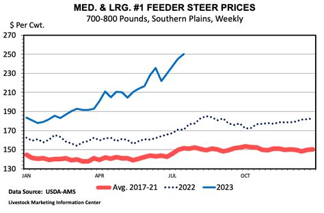 National Beef Wire | Cattle Letter: Strong Cattle Prices