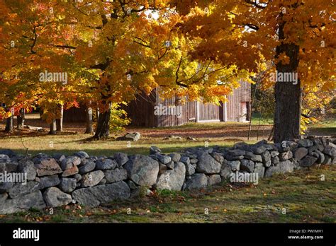 Fall Foliage, New Hampshire, USA Stock Photo - Alamy