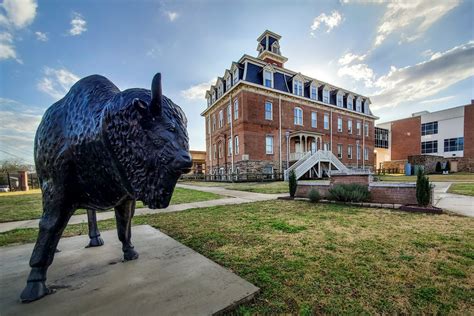 Arkansas School Mascot Statues - Only In Arkansas