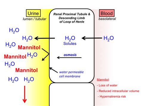 slsi.lk - how long for sulfatrim to work | Suggest you lasix mechanism of action that