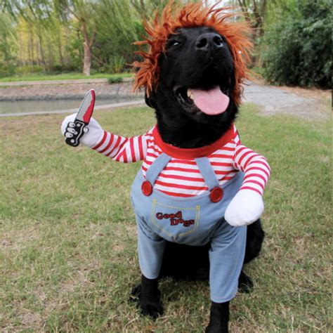 Chucky Dog Costume – DoggyTopia