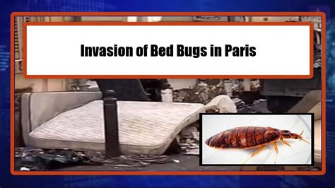 Invasion of Bed Bugs in Paris - YouTube