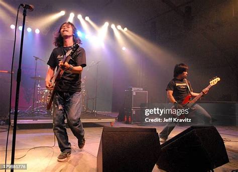 122 Electric Eel Shock Stock Photos, High-Res Pictures, and Images - Getty Images