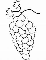 Grapes Coloring Pages  Best For Kids sketch template