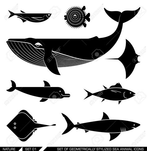 Whale Vector at Vectorified.com | Collection of Whale Vector free for ...