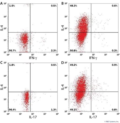 CellXVivo Mouse Th2 Cell Differentiation Kit (CDK019) | Bio-Techne