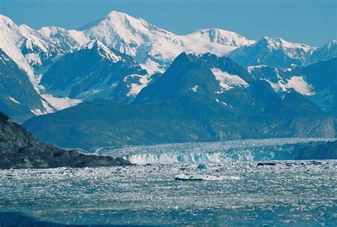 Alaska Wildlife Tour (9 Days) - Alaska Outdoors