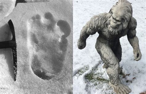 Yeti Footprints - Awesome India