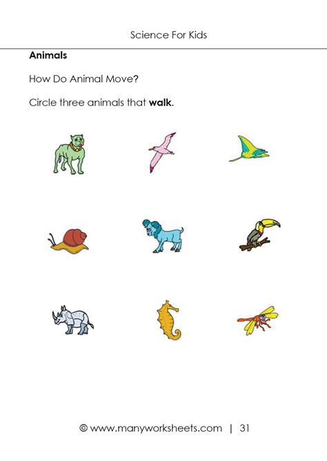 Free Science Worksheet Preschool Pictures - Science Free Preschool ...