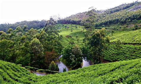 Munnar in Monsoon - a trip to remember - Backpack & Explore