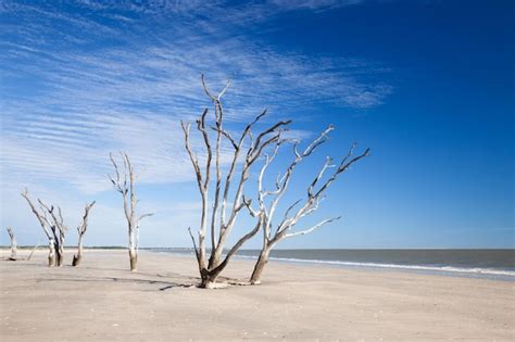 Premium Photo | Botany bay beach