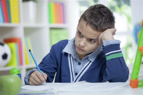 5 Ways Gifted Children May Be Misunderstood - Oak Crest Academy