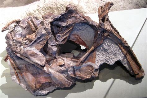 Prehistoric Beast of the Week: Cryolophosaurus: Prehistoric Animal of the Week