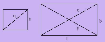 Diagonal Formula (Square, Rectangle & Parallelogram)