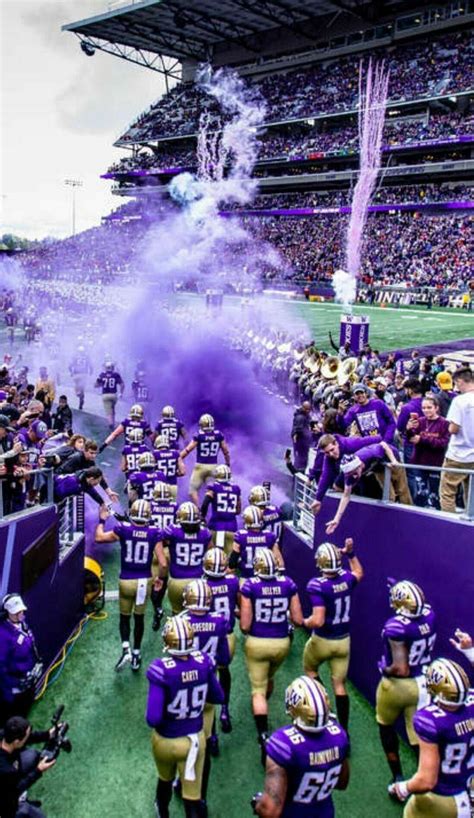 Washington Huskies Football Tickets - 2023-2024 Washington Games | SeatGeek