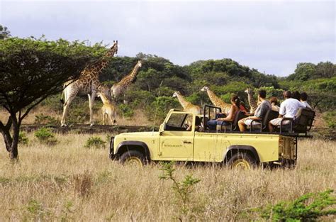 Bonamanzi Game Reserve in Hluhluwe - KwaZulu-Natal Nature Reserves