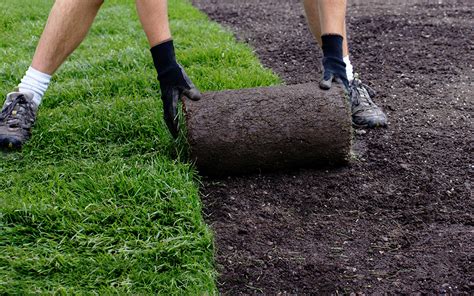 How to Lay Sod Without Tilling [7 Step No-Till Method] | Pepper's Home & Garden