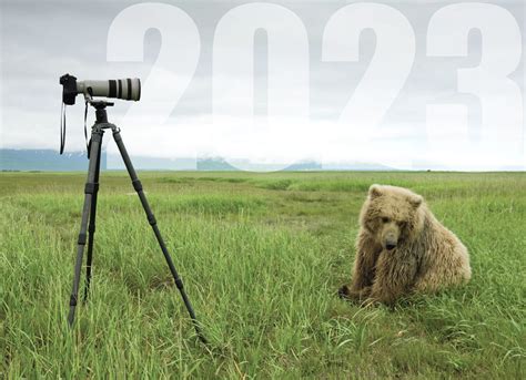 2023 Photo Contest — The Wild Lens