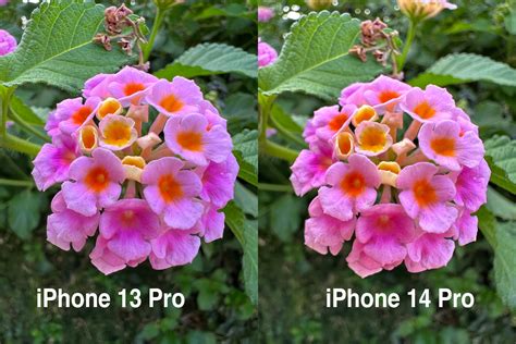 Review of Apple’s iPhone 14 and iPhone 14 Pro: They’re leaning into it