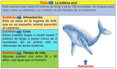 Textos literarios e informativos, martes 11 octubre, lenguaje y comunicación 2° primaria