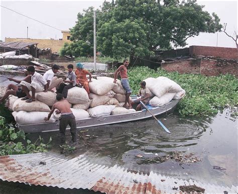 Delhi doctors list health hazards of Lindane insecticide in Yamuna ...