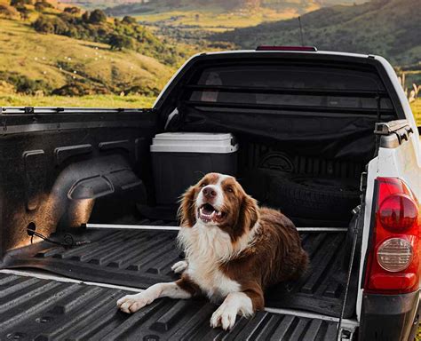 Truck Beds & Dogs What You Should Know | DualLiner Truck Bed Liner - Ford, Chevy, Dodge & GMC ...