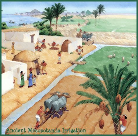 Mesopotamian Irrigation System For Kids