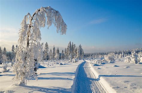 Download Nature Winter 4k Ultra HD Wallpaper