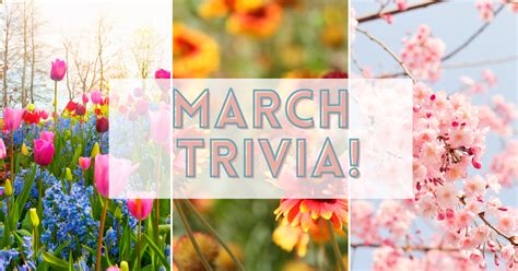 87 Egg-citing March Trivia Questions To Help You Celebrate The Month ...