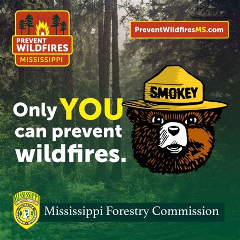 Wildfire Prevention - Mississippi Forestry Commission