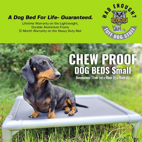 ChewProof Dog Beds: Best Indestructible Beds in Australia