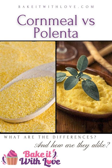 Polenta Recipes Vegan, Cornmeal Recipes, Oven Cooking, Cooking And ...