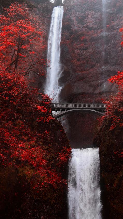 Multnomah Falls waterfall bridge in autumn red, Portland, Oregon, USA | Windows Spotlight Images