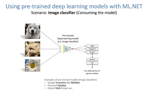 Training Image Classification Recognition Models Based On Deep Learning ...