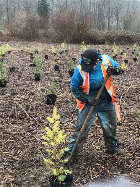 Internship: King County Parks & Recreation