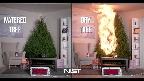 Christmas Tree Fire Safety - YouTube