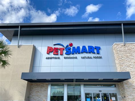 Will PetSmart Take Your Guinea Pig? Answered (+ Where Else to Go ...