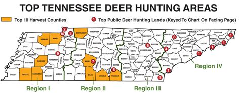 Tennessee Public Hunting Land Map - Maps For You