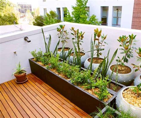 35 Best Terrace Gardening Ideas & Terrace Garden Easy Guide - Foter