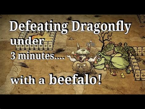 DST : Dragonfly under 3 minutes! [ Beefalo Fights ] - YouTube