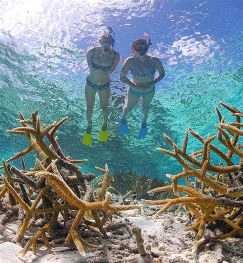 Bonaire National Marine Park | Best location, Bonaire, Trip